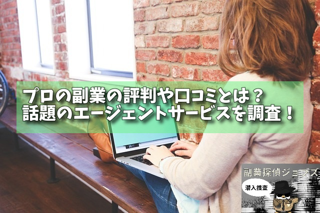 プロの副業の評判や口コミとは？話題のエージェントサービスを調査！の画像